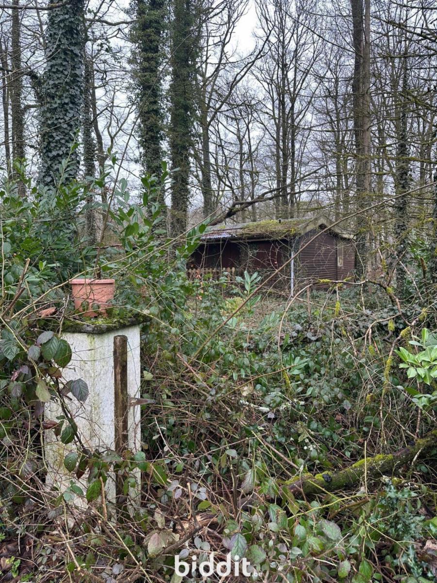 Image de présentation du bien n° 290713