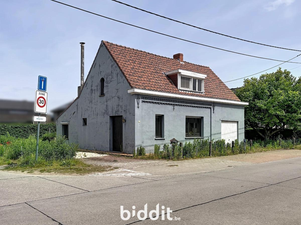 Image de présentation du bien n° 297436