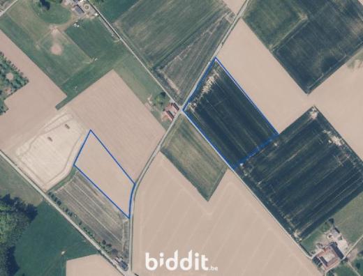 Première photo alternative du bien