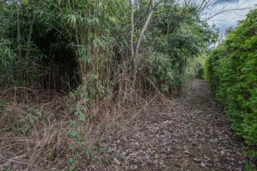 Troisième photo alternative du bien