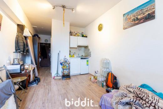 Troisième photo alternative du bien