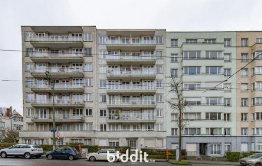 Image de présentation du bien n° 299352