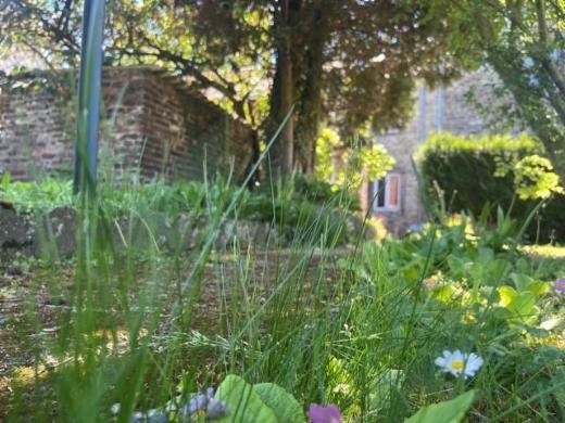 Image de présentation du bien n° 295464