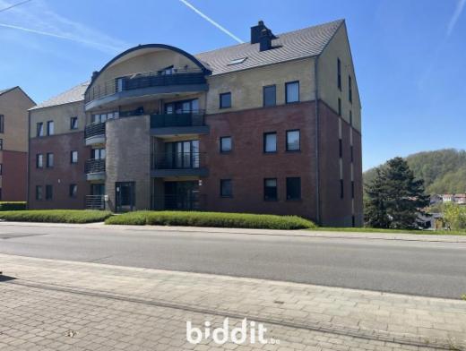 Image de présentation du bien n° 296084