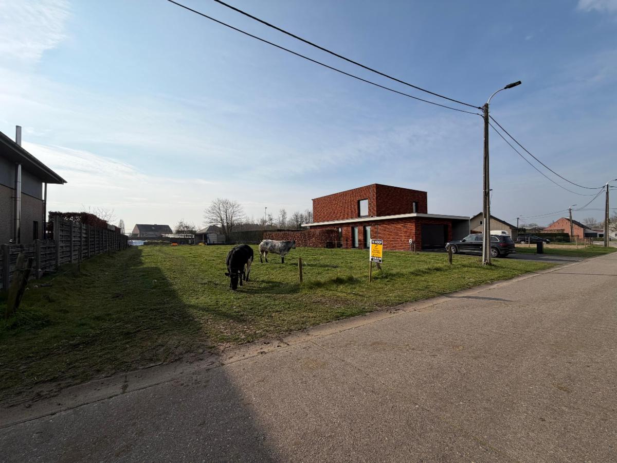 Image de présentation du bien n° 294271