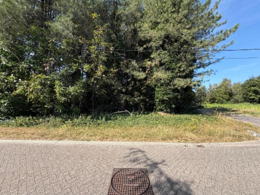 Première photo alternative du bien