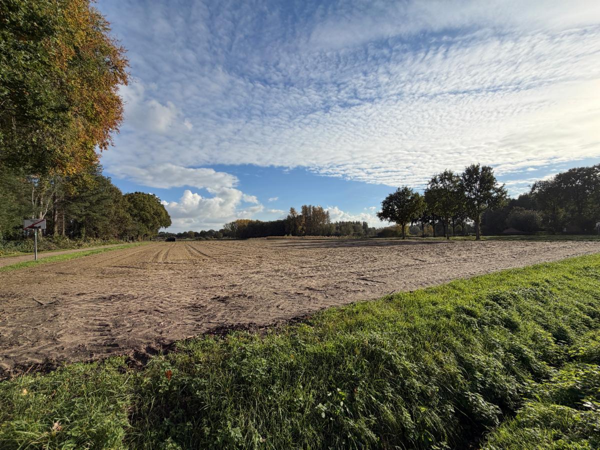 Image de présentation du bien n° 303704
