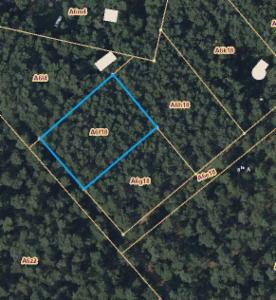Image de présentation du bien n° 303731