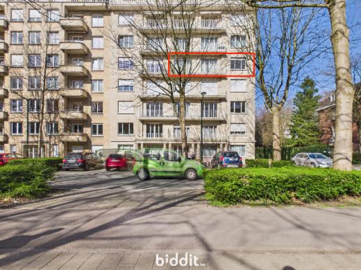 Image de présentation du bien n° 293605