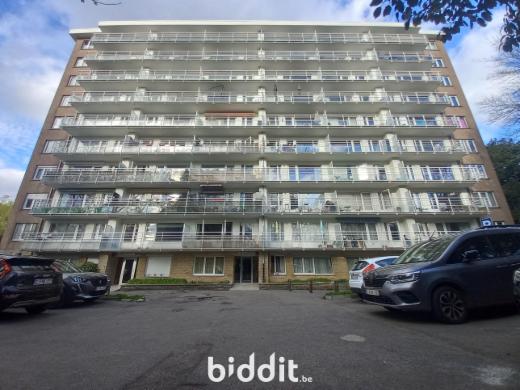 Image de présentation du bien n° 294546