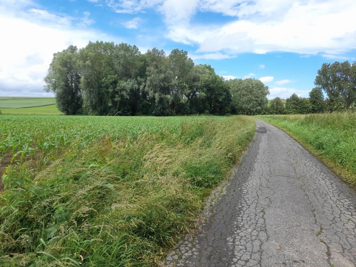 Image de présentation du bien n° 297710