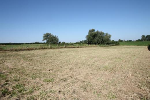 Première photo alternative du bien