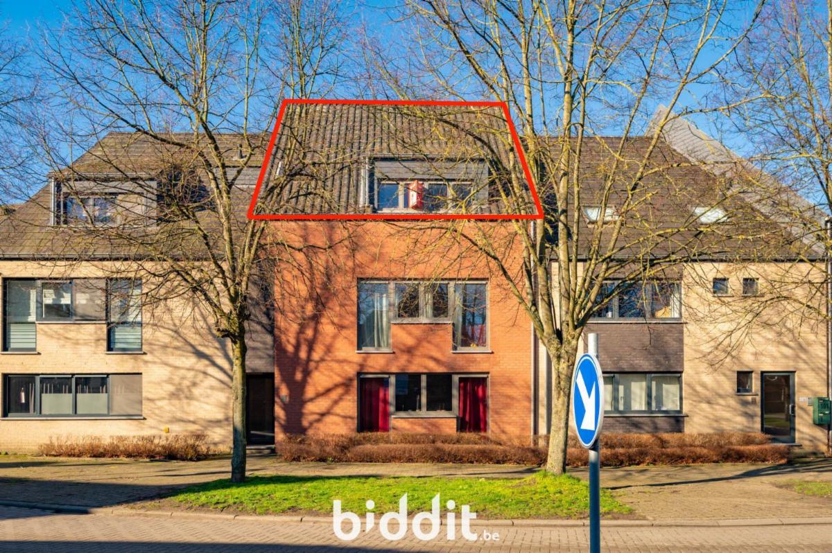 Image de présentation du bien n° 295969