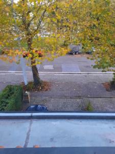 Première photo alternative du bien