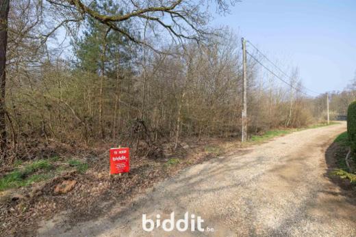 Première photo alternative du bien