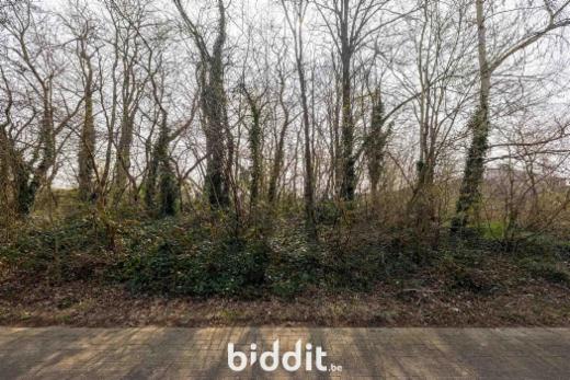 Première photo alternative du bien