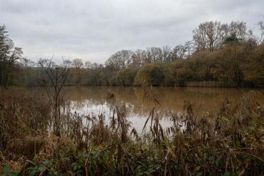 Seconde photo alternative du bien