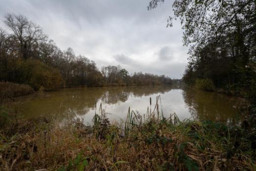 Troisième photo alternative du bien