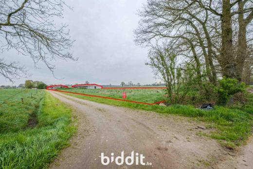 Image de présentation du bien n° 295031