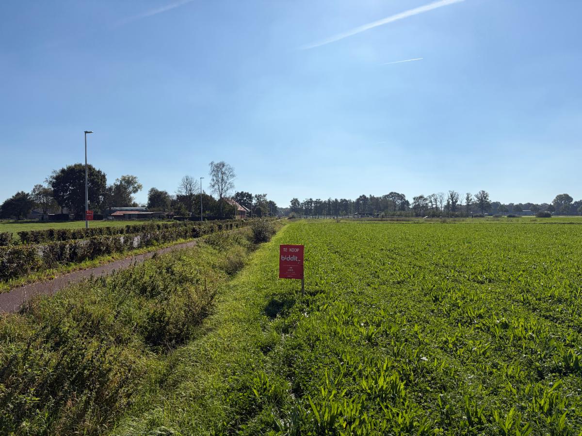 Image de présentation du bien n° 302306