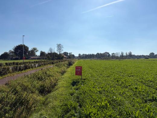 Image de présentation du bien n° 302306