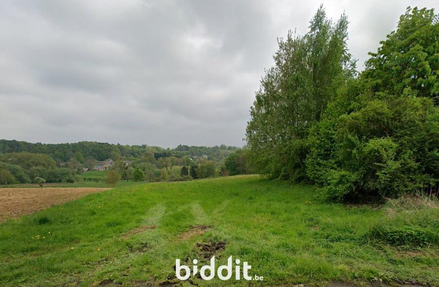 Image de présentation du bien n° 292687