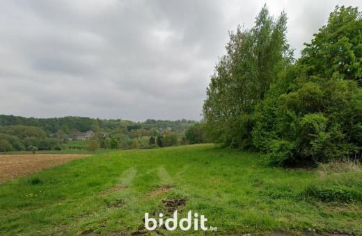 Image de présentation du bien n° 292687