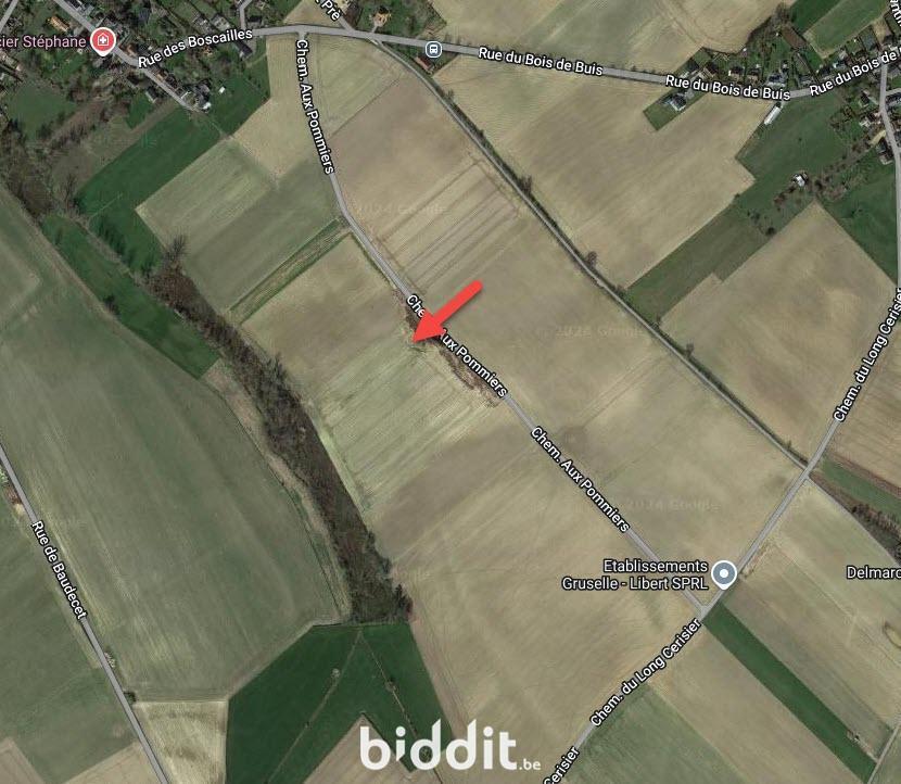 Image de présentation du bien n° 295274