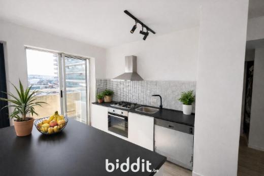 Troisième photo alternative du bien