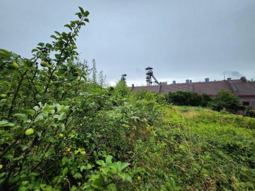 Première photo alternative du bien