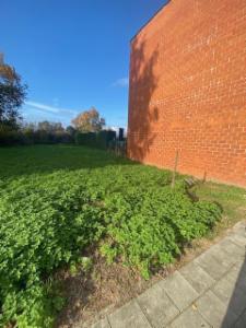 Première photo alternative du bien