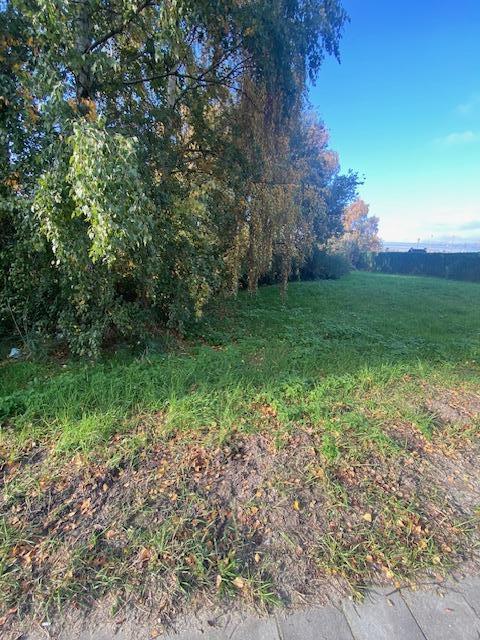 Image de présentation du bien n° 293171