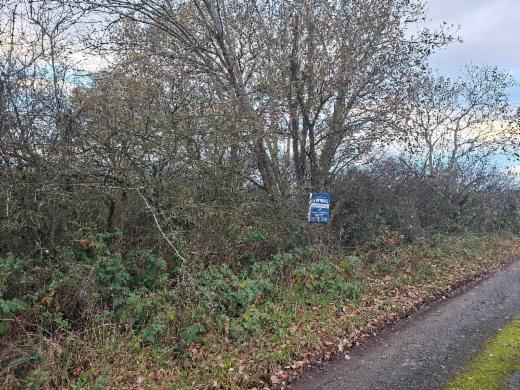 Image de présentation du bien n° 290389