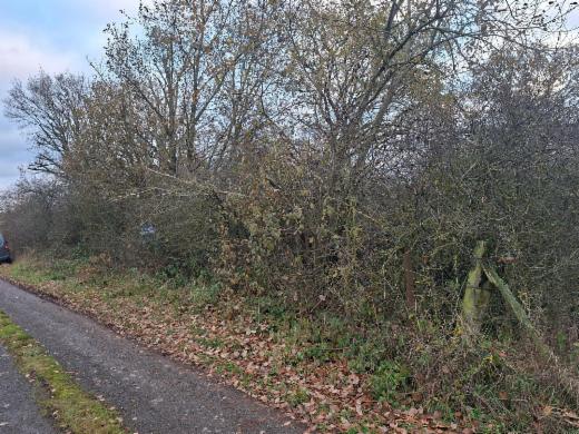 Première photo alternative du bien