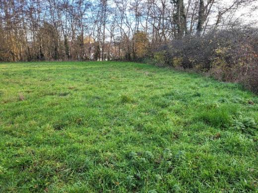 Première photo alternative du bien