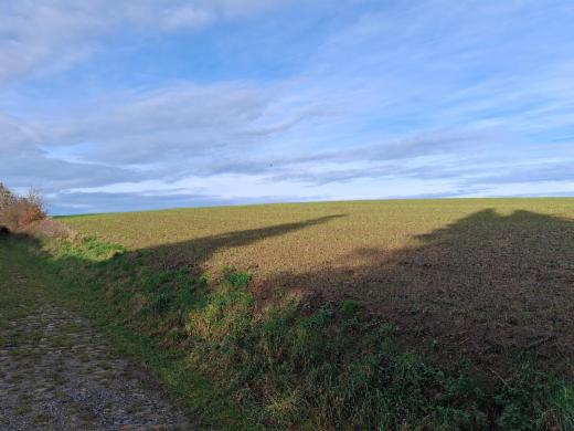 Image de présentation du bien n° 290928