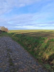 Troisième photo alternative du bien