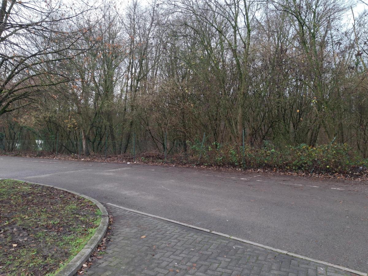 Image de présentation du bien n° 291368