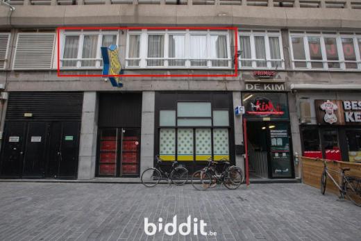 Image de présentation du bien n° 297481