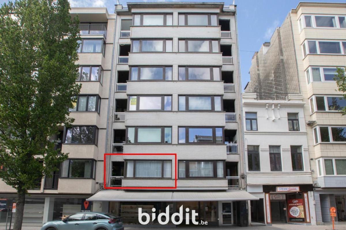 Image de présentation du bien n° 297487