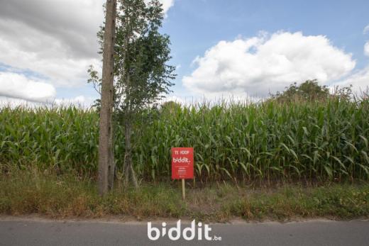 Image de présentation du bien n° 286293
