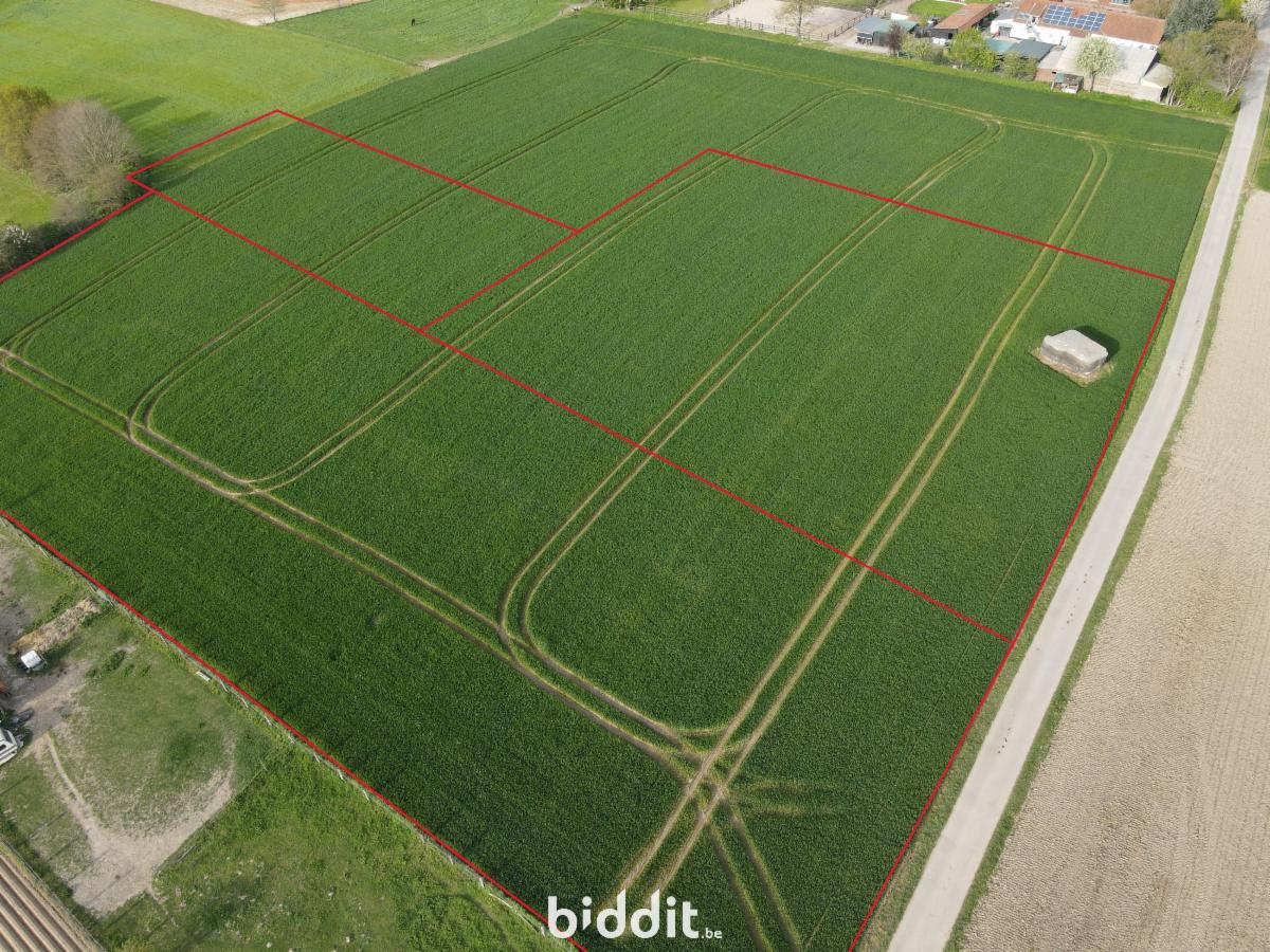 Image de présentation du bien n° 295363