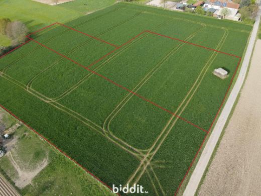 Image de présentation du bien n° 295363