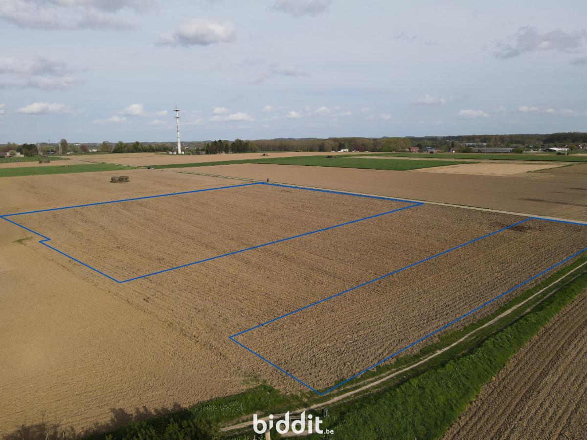 Image de présentation du bien n° 295364