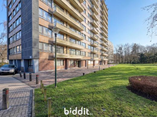 Image de présentation du bien n° 291745