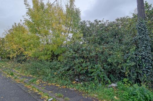 Seconde photo alternative du bien