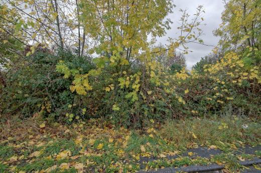 Troisième photo alternative du bien