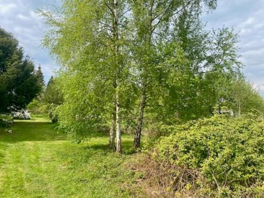 Seconde photo alternative du bien