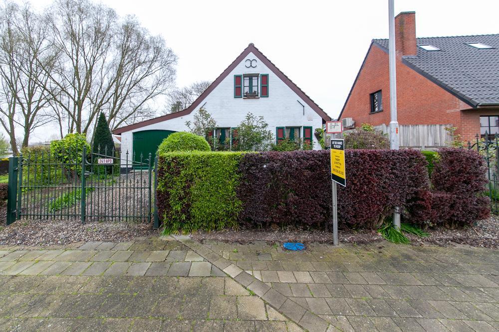 Image de présentation du bien n° 295694