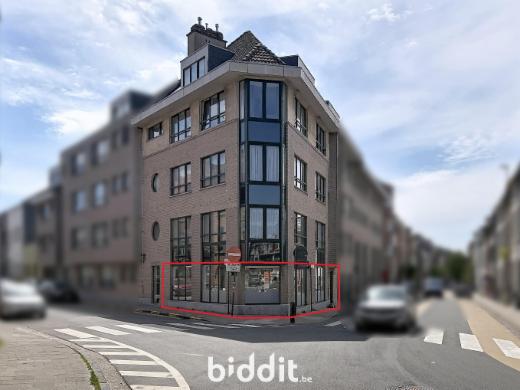 Image de présentation du bien n° 298934